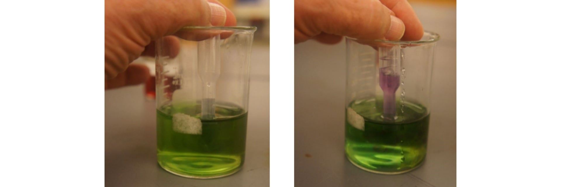 Pipet in a beaker with green solution (left) and Pipette in a beaker with green and blue solution (right).