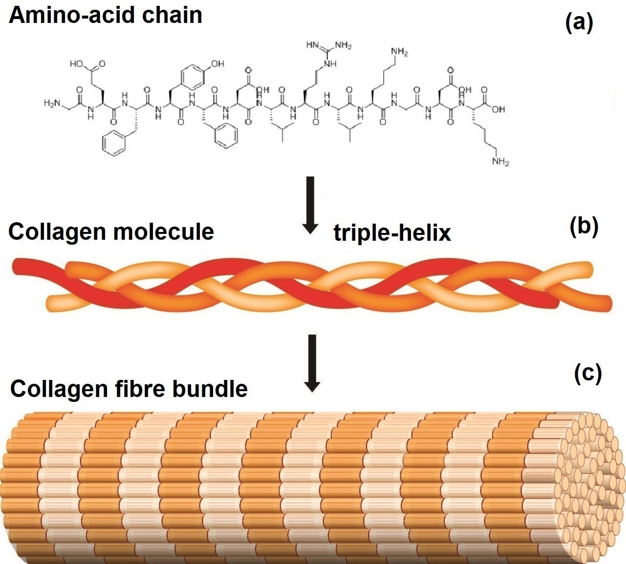 Figure 1: Details in caption.