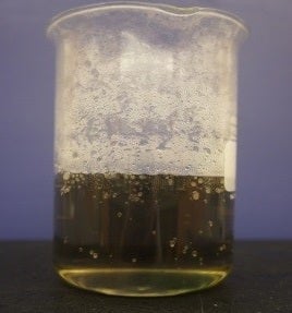 Details in caption and text.