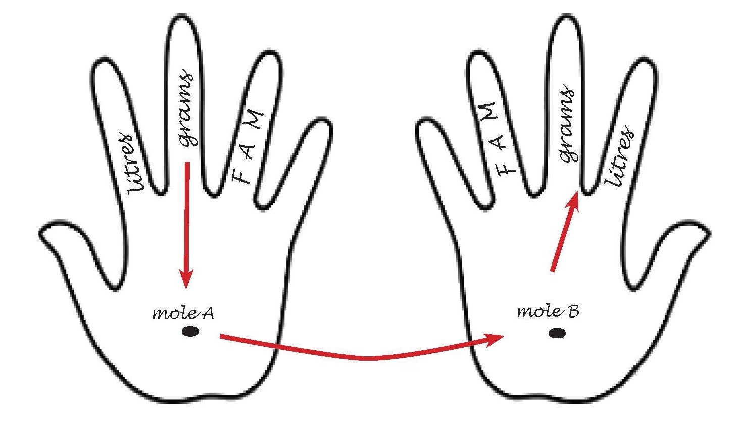 Two outlines of hands – both with the letters “FAM” on the ring finger, “grams” on the middle and “litres” on the index; a black circle on each palm – left palm with labelled “mole a” and the right palm labelled with ““mole” b”. There is an arrow pointing from “grams” on finger (left hand) to the “mole b” (left palm). A second arrow pointing from “moles a” (left palm) to “mole b” (right palm); a third arrow is pointing from “mole b” (right palm) to the finger with “grams” (right hand).