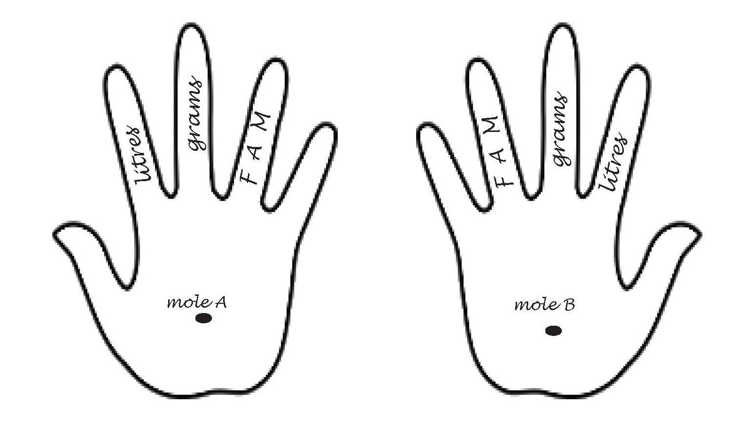 3. Two outlines of hands – both with the letters “FAM” on the ring finger, “grams” on the middle and “litres” on the index; a black circle on each palm – left palm with labelled “mole a” and the right palm labelled with ““mole” b”.