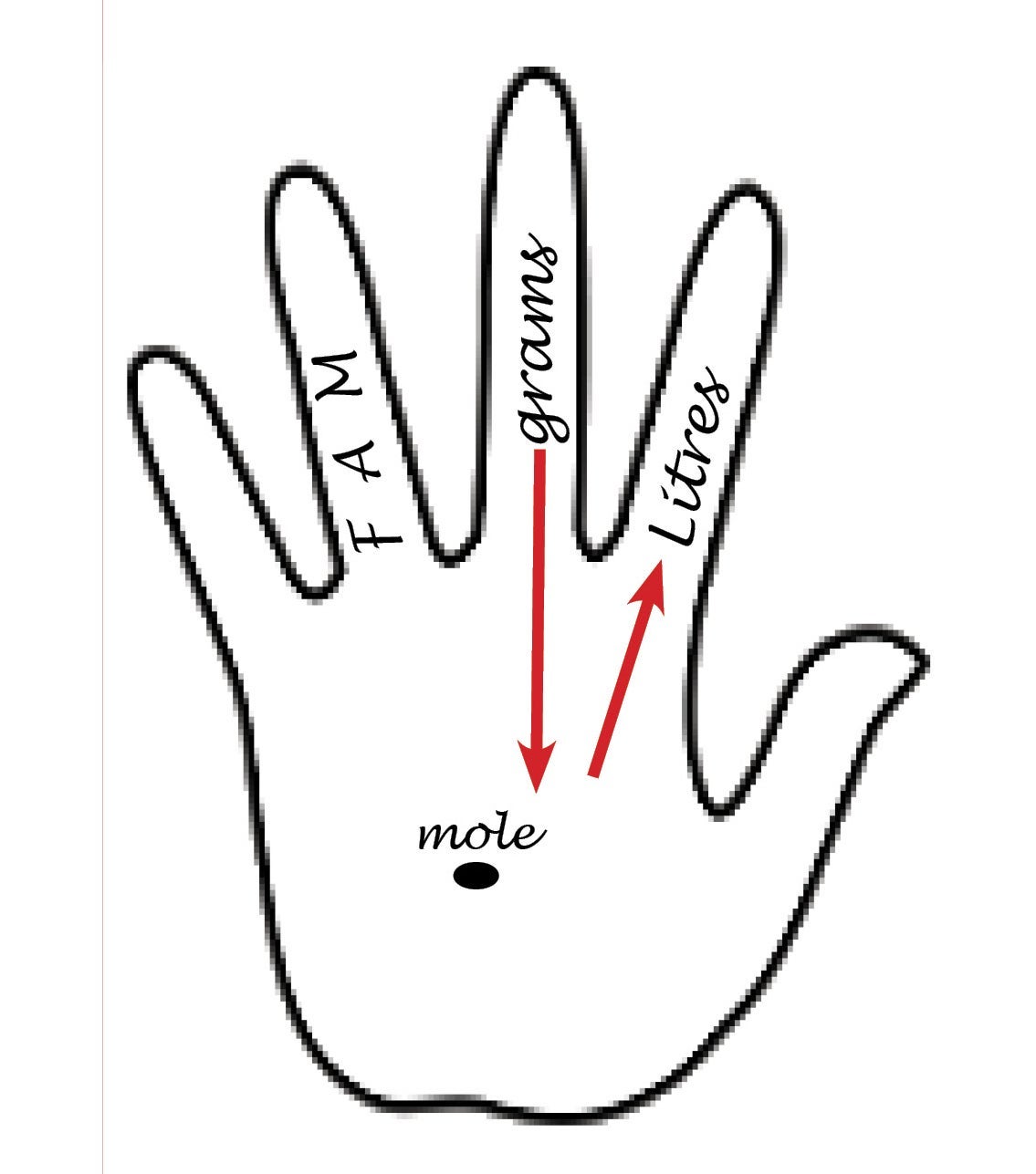 2. An outline of a hand with the letters “FAM” on the ring finger, “grams” on the middle and “litres” on the index; a circle with the word “mole” on the palm. There is a red arrow pointing to “grams” to the “mole” (palm); another red arrow pointing from “mole” to “litres” (finger).