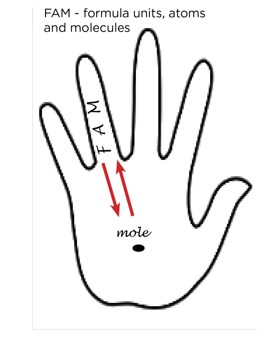 1. An outline of a hand with the letters “FAM” on the ring finger and a circle with the word “mole” on the palm. There are two red arrow pointing to and from the “FAM” to the “mole” on the palm.