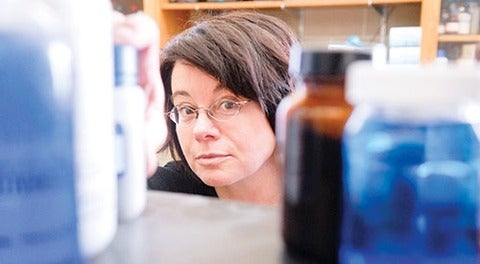 Waterloo researcher Linda Nazar