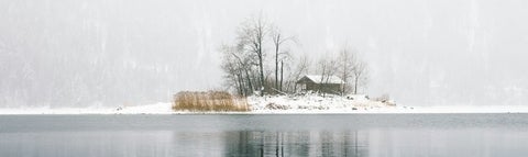 island in the middle of lake covered in snow and dead trees with a small building hidden behind