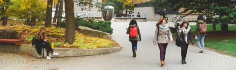 Students walking along a path 