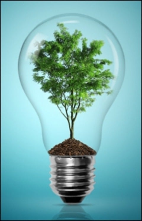 Picture of light bulb with tree inside