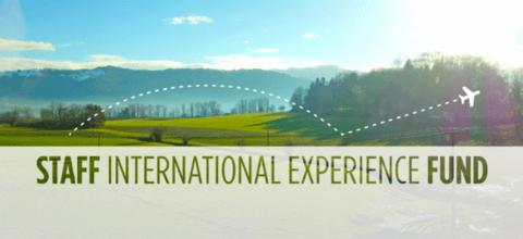 Staff International Experience Fund