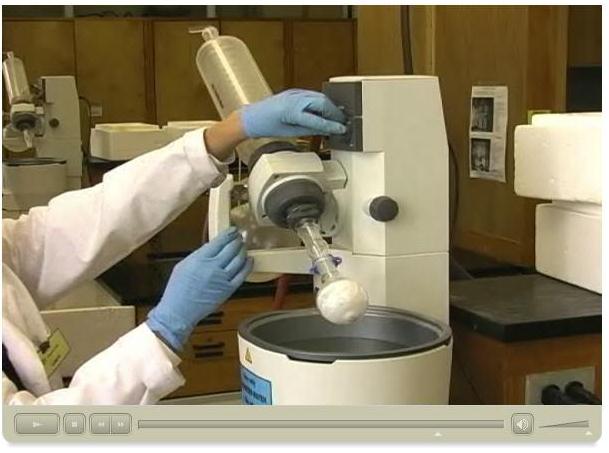 Image Chem277