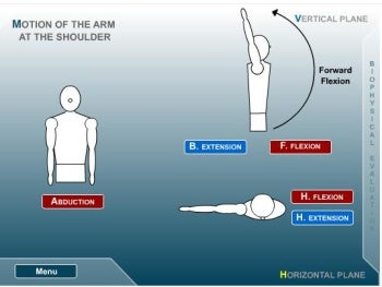 Kinesiology 101L movement diagram.