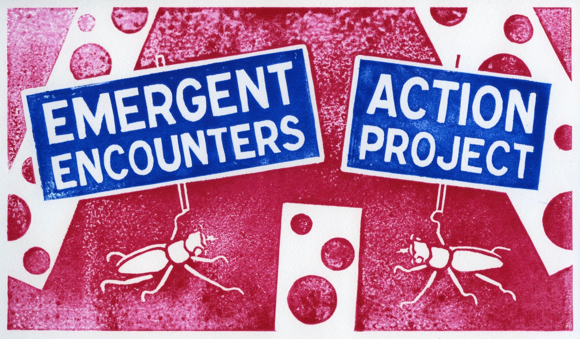 Emergent Encounters Action Project