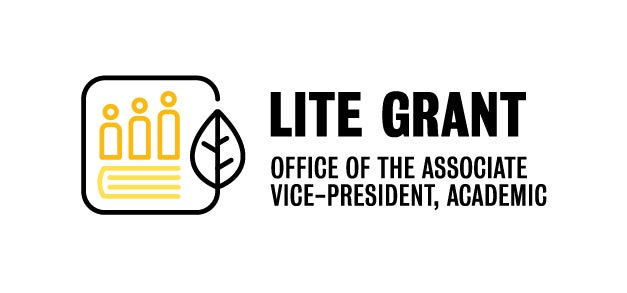 LITE grant visual identity