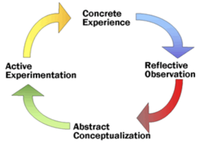 Kolb's four-stage learning cycle: concrete experience, reflective observation, abstract conceptualization, and active experimentation