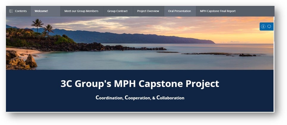 Image of PebblePad banner from MPH Capstone Course