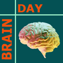 brain and text brain day, green background, red text