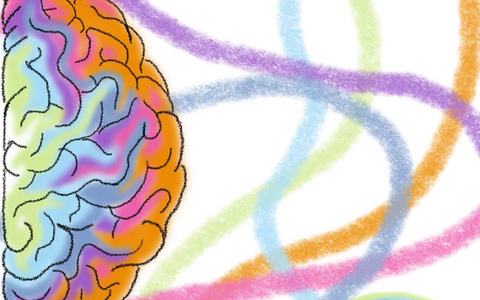 a brain with rainbow colours