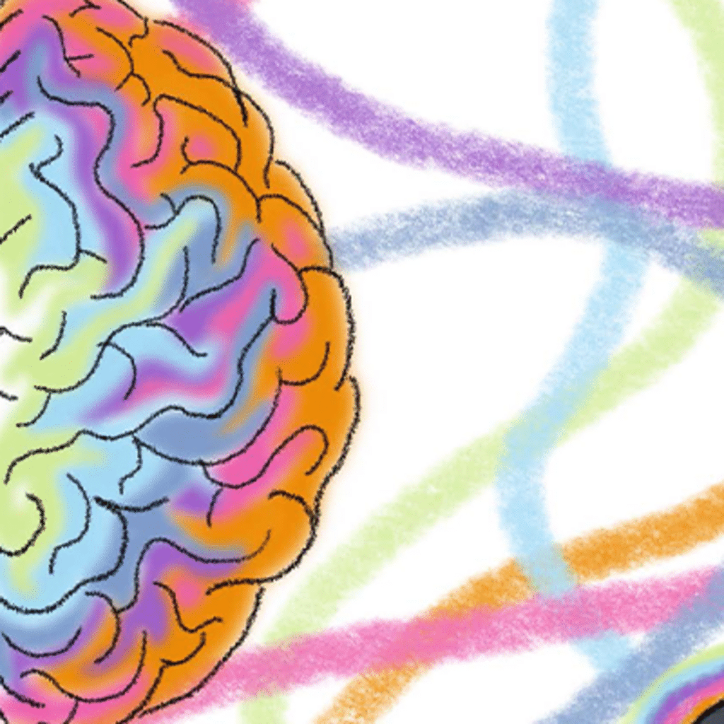brain with rainbow colours
