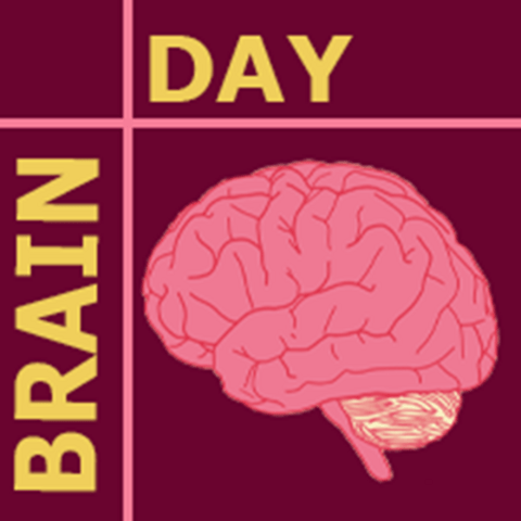 text: Brain Day, and picture of a brain