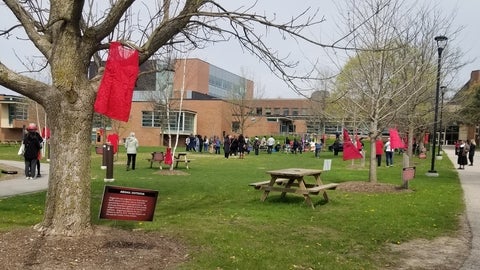 Red dresses hang in the trees on UWaterloo's BMH Green