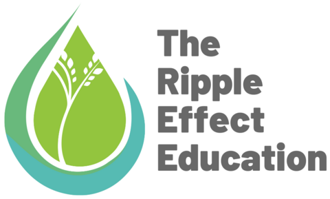 The Ripple Effect Education Logo of a drop of water with a growing stylized tree