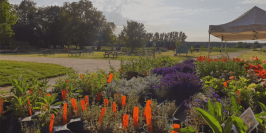 flower garden