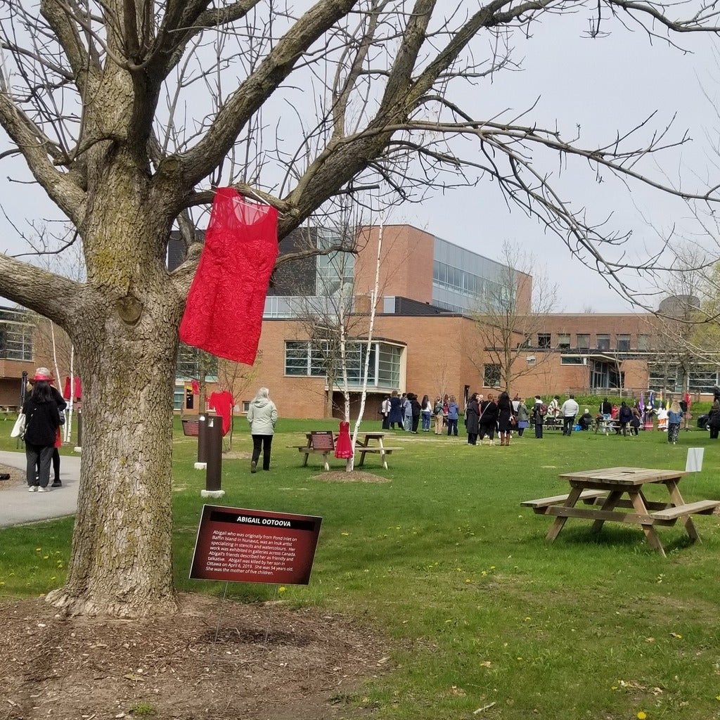 Red dresses hang in the trees on UWaterloo's BMH Green