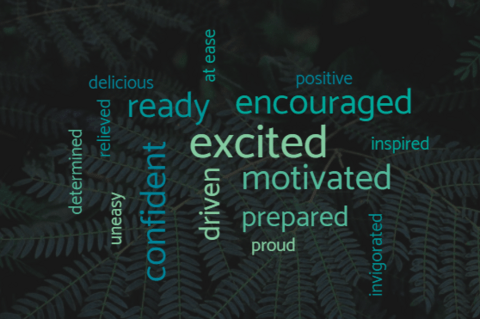 Word cloud with emotions
