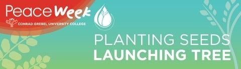 Planting Seeds: Launching TREE