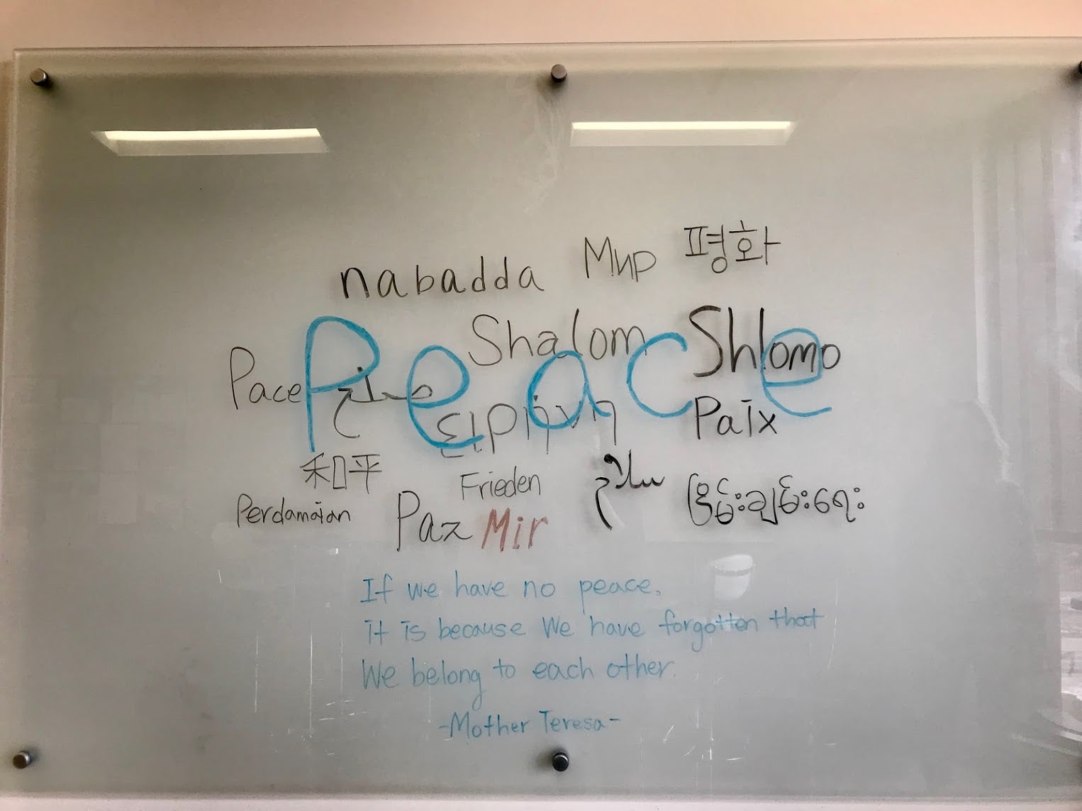 peace languages on the white board