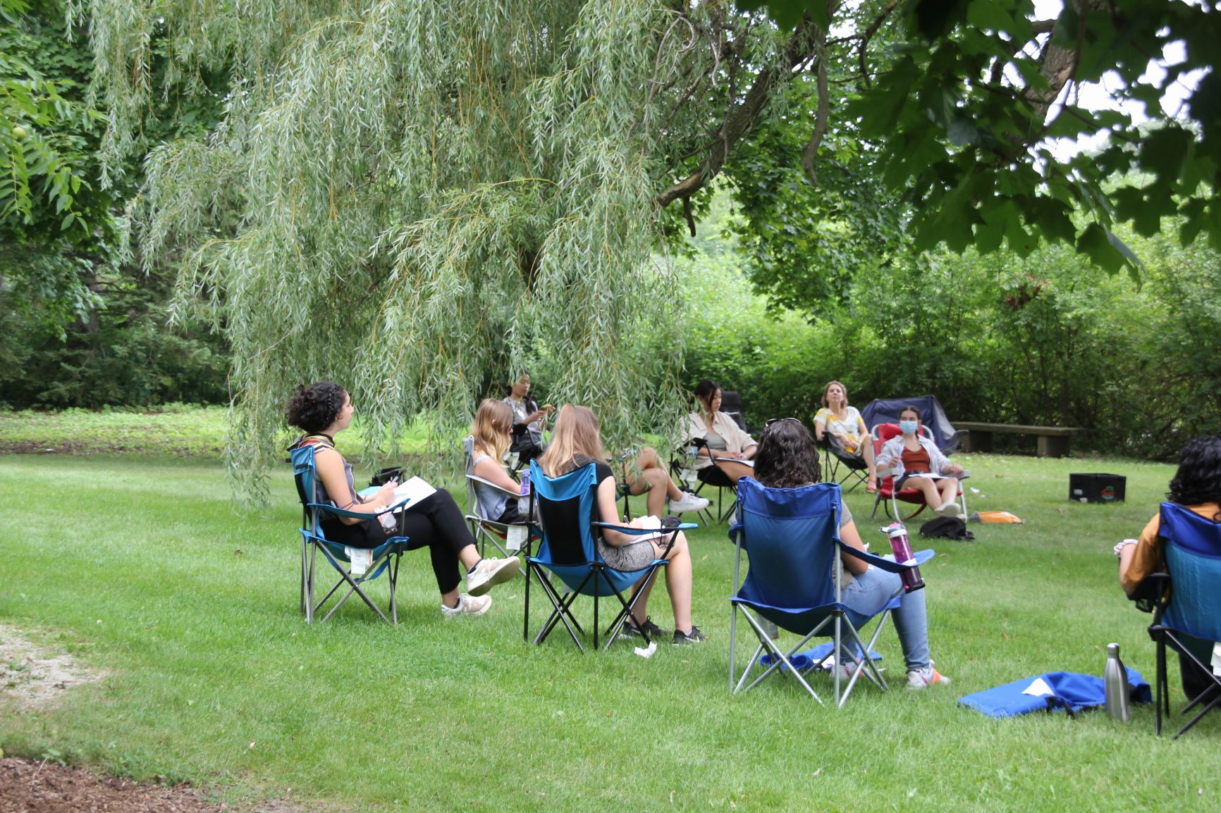 students sit under a tree learning