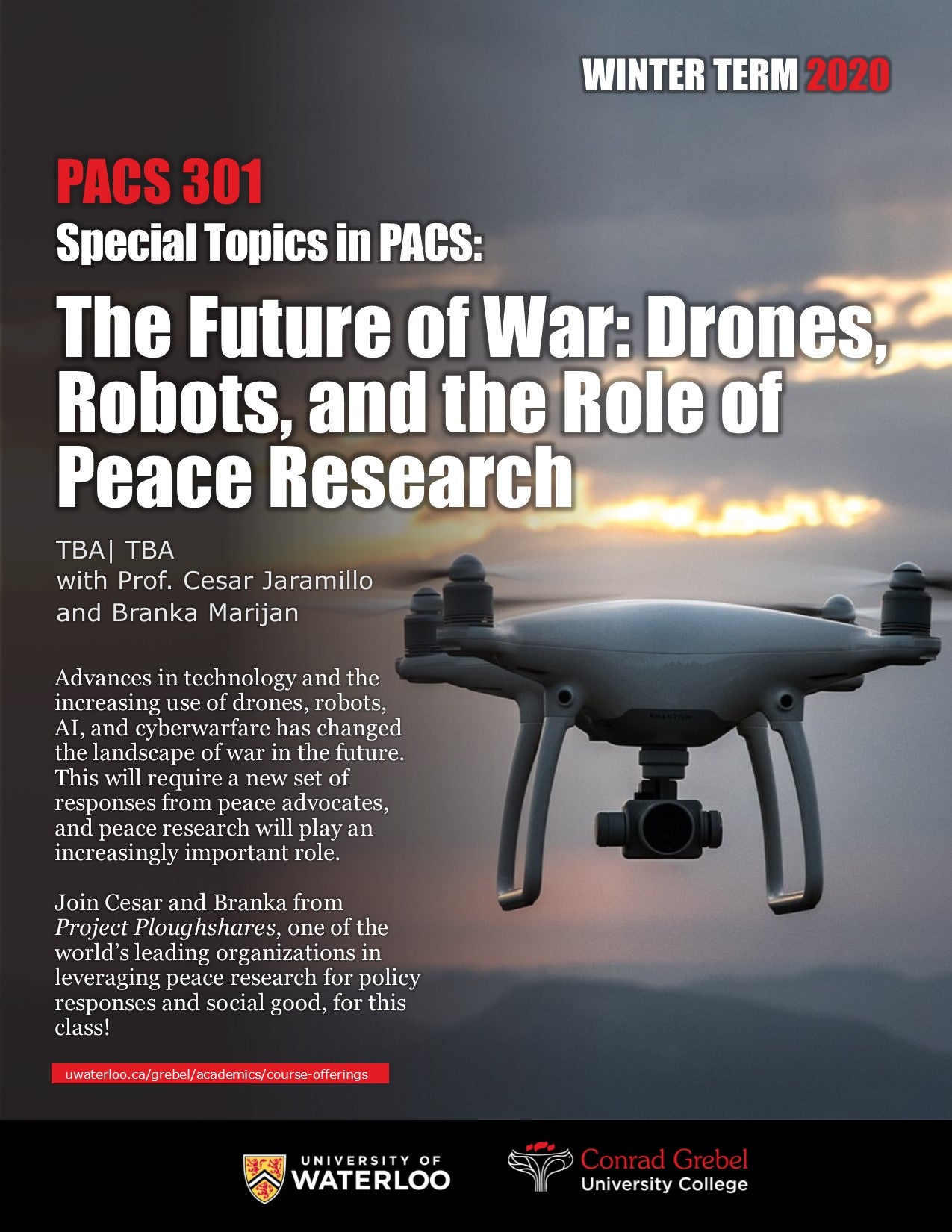 Poster for Peace and Conflict Studies Course 