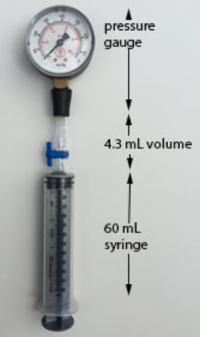 Barometer attached to a syringe.