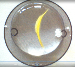 White crystals on one side of circle, with yellow line in the middle.