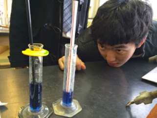 Students looking at a thermometer.
