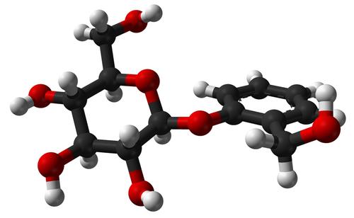 ball-and-stick model of the salicin molecule