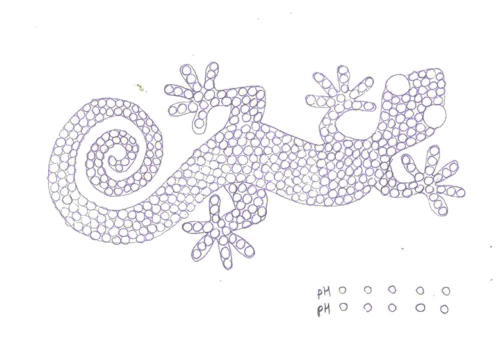 A hand-drawn template of a lizard.