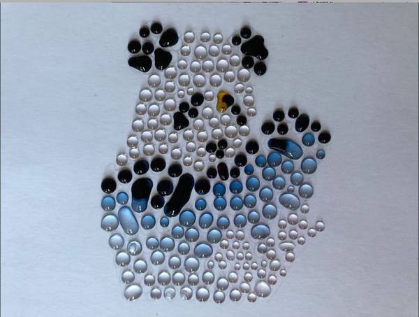 An image of a panda made up of mini droplets in blue-black drops using iodine (Lugol's solution).