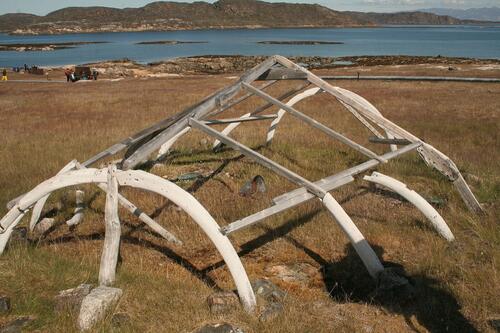 Framework for an Inuit summer dwelling.