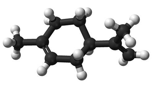 Ball-and-stick representation of the limonene molecule