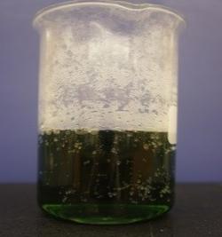 A beaker with a very dark greenish solution, with a few bubbles.