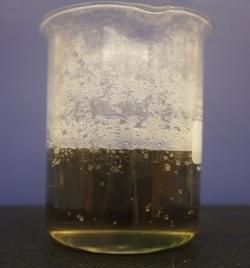 A beaker with a light green solution, almost clear in nature.