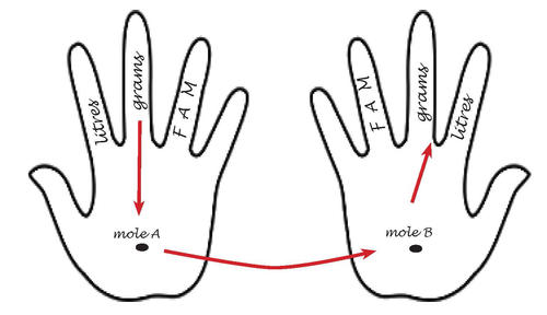 Two outlines of hands – both with the letters “FAM” on the ring finger, “grams” on the middle and “litres” on the index; a black circle on each palm – left palm with labelled “mole a” and the right palm labelled with ““mole” b”.  There is an arrow pointing from “grams” on finger (left hand) to the “mole b” (left palm). A second arrow pointing from “moles a” (left palm) to “mole b” (right palm); a third arrow is pointing from “mole b” (right palm) to the finger with “grams” (right hand).