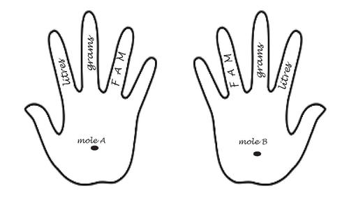 3.	Two outlines of hands – both with the letters “FAM” on the ring finger, “grams” on the middle and “litres” on the index; a black circle on each palm – left palm with labelled “mole a” and the right palm labelled with ““mole” b”.
