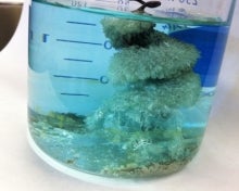 Metal and crystals in a beaker in blue liquid.