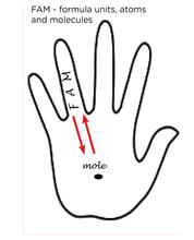 1.	An outline of a hand with the letters “FAM” on the ring finger and a circle with the word “mole” on the palm.  There are two red arrow pointing to and from the “FAM” to the “mole” on the palm
