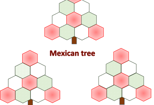 Three trees with hexagonal leaves, labelled Mexican tree, American tree and Canadian tree.
