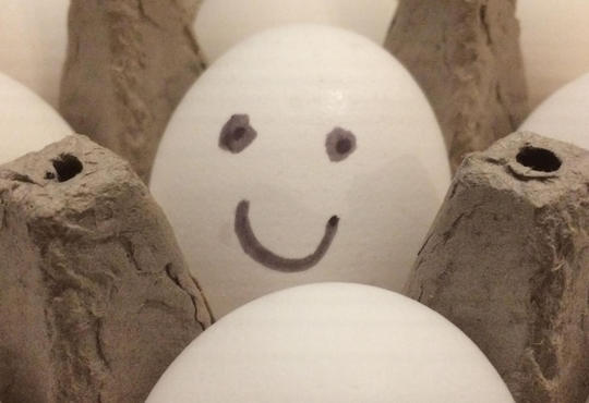 Eggs in a cartoon -- one has a happy face drawn on it