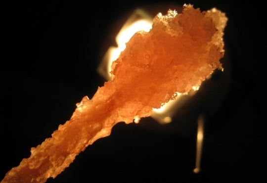 A cluster of sugar crystals on a stick appearing golden in colour with the background lighting. The background colour is black. 