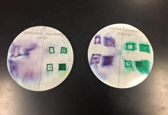two filter papers with purple and green squares written in marker. Some square look smudged 