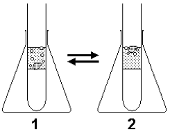 Diagram showing two Erlenmeyer flasks with test tubes and equilibrium arrows.